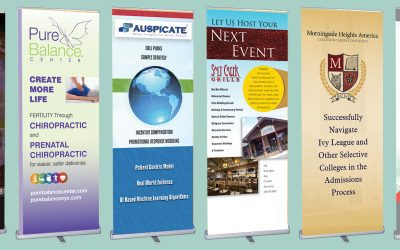 Banner Stand Options: Which Type Is Best for Your Display Needs?