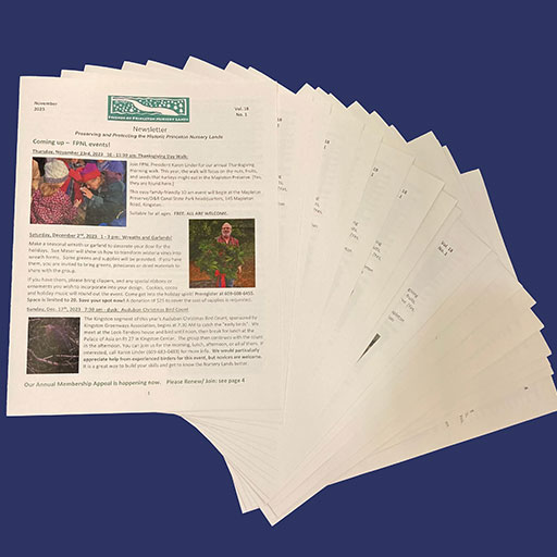 Princeton Newsletter Printing, Printing Services Princeton NJ | Document Depot